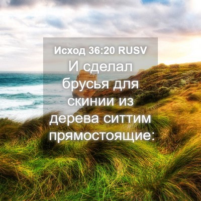 Picture 04 - Исход 36:20 RUSV - И сделал брусья для скинии - Bible Verse Picture