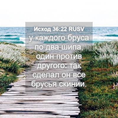 Picture 04 - Исход 36:22 RUSV - у каждого бруса по два - Bible Verse Picture