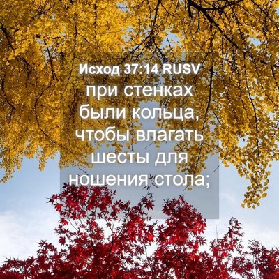Picture 04 - Исход 37:14 RUSV - при стенках были кольца, - Bible Verse Picture