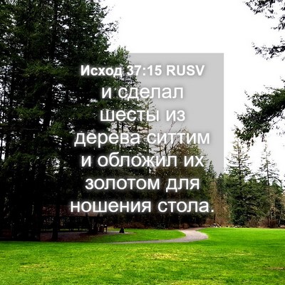 Picture 04 - Исход 37:15 RUSV - и сделал шесты из дерева - Bible Verse Picture