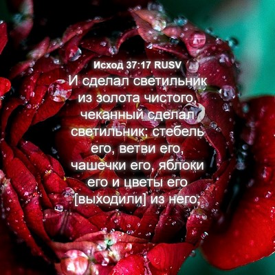 Picture 04 - Исход 37:17 RUSV - И сделал светильник из - Bible Verse Picture
