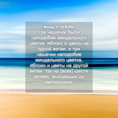 Picture 04 - Исход 37:19 RUSV - три чашечки были наподобие - Bible Verse Picture