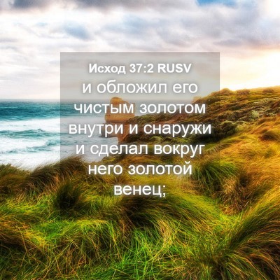 Picture 04 - Исход 37:2 RUSV - и обложил его чистым - Bible Verse Picture