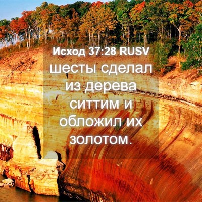 Picture 04 - Исход 37:28 RUSV - шесты сделал из дерева - Bible Verse Picture