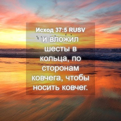 Picture 04 - Исход 37:5 RUSV - и вложил шесты в кольца, по - Bible Verse Picture