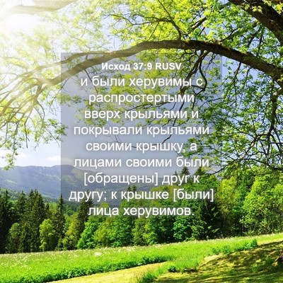 Picture 04 - Исход 37:9 RUSV - и были херувимы с - Bible Verse Picture