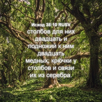 Picture 04 - Исход 38:10 RUSV - столбов для них двадцать и - Bible Verse Picture