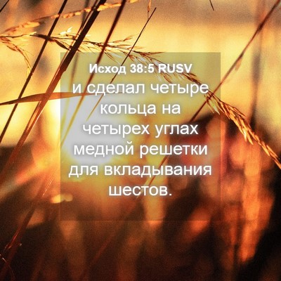 Picture 04 - Исход 38:5 RUSV - и сделал четыре кольца на - Bible Verse Picture