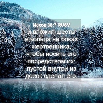 Picture 04 - Исход 38:7 RUSV - и вложил шесты в кольца на - Bible Verse Picture