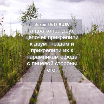 Picture 04 - Исход 39:18 RUSV - а два конца двух цепочек - Bible Verse Picture