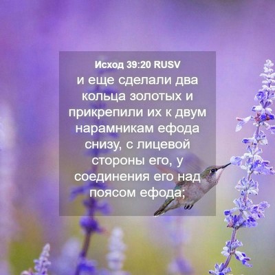 Picture 04 - Исход 39:20 RUSV - и еще сделали два кольца - Bible Verse Picture