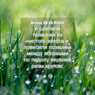 Picture 04 - Исход 39:25 RUSV - и сделали позвонки из - Bible Verse Picture