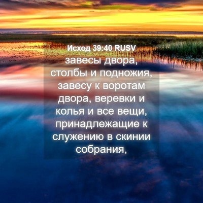 Picture 04 - Исход 39:40 RUSV - завесы двора, столбы и - Bible Verse Picture