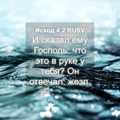 Picture 04 - Исход 4:2 RUSV - И сказал ему Господь: что - Bible Verse Picture