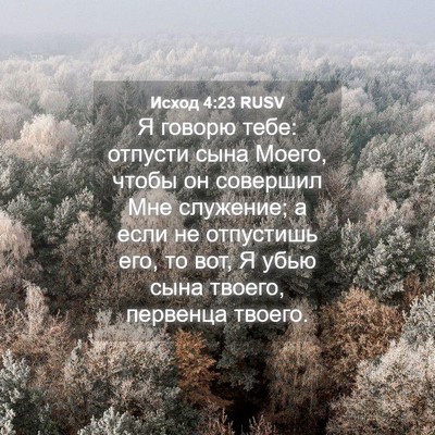Picture 04 - Исход 4:23 RUSV - Я говорю тебе: отпусти сына - Bible Verse Picture