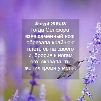 Picture 04 - Исход 4:25 RUSV - Тогда Сепфора, взяв - Bible Verse Picture