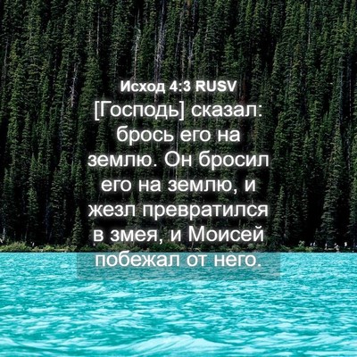 Picture 04 - Исход 4:3 RUSV - [Господь] сказал: брось его - Bible Verse Picture