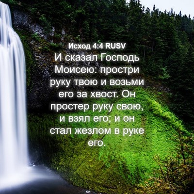 Picture 04 - Исход 4:4 RUSV - И сказал Господь Моисею: - Bible Verse Picture