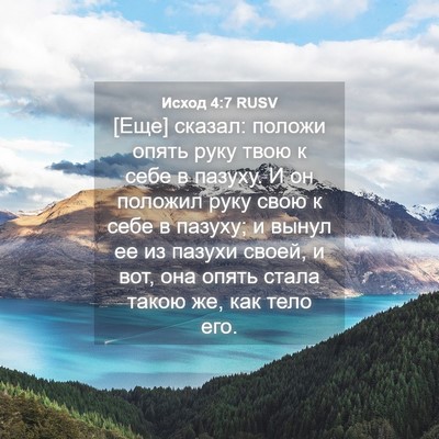 Picture 04 - Исход 4:7 RUSV - [Еще] сказал: положи опять - Bible Verse Picture