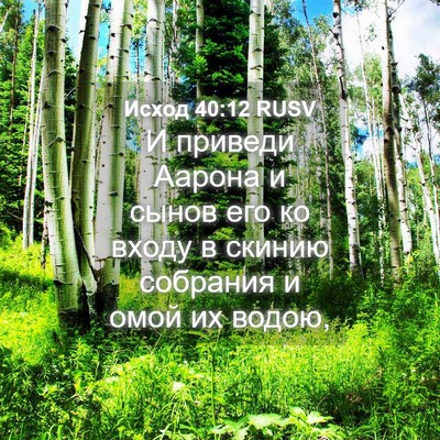 Picture 04 - Исход 40:12 RUSV - И приведи Аарона и сынов - Bible Verse Picture