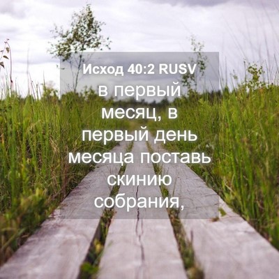 Picture 04 - Исход 40:2 RUSV - в первый месяц, в первый - Bible Verse Picture