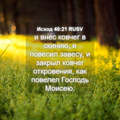 Picture 04 - Исход 40:21 RUSV - и внес ковчег в скинию, и - Bible Verse Picture