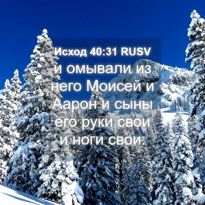 Picture 04 - Исход 40:31 RUSV - и омывали из него Моисей и - Bible Verse Picture