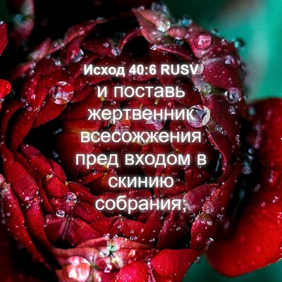 Picture 04 - Исход 40:6 RUSV - и поставь жертвенник - Bible Verse Picture