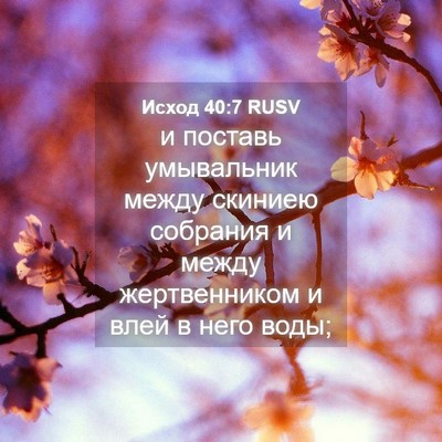 Picture 04 - Исход 40:7 RUSV - и поставь умывальник между - Bible Verse Picture