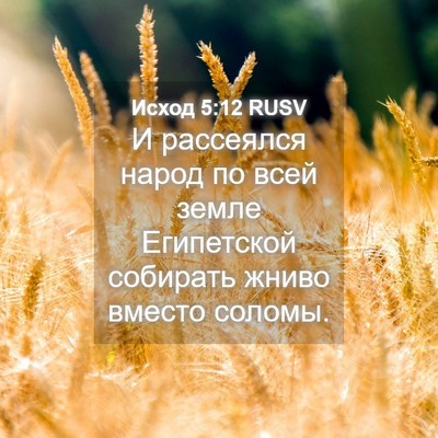 Picture 04 - Исход 5:12 RUSV - И рассеялся народ по всей - Bible Verse Picture