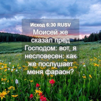 Picture 04 - Исход 6:30 RUSV - Моисей же сказал пред - Bible Verse Picture