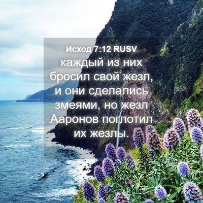 Picture 04 - Исход 7:12 RUSV - каждый из них бросил свой - Bible Verse Picture