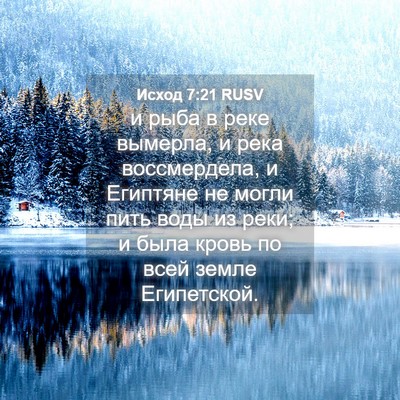 Picture 04 - Исход 7:21 RUSV - и рыба в реке вымерла, и - Bible Verse Picture