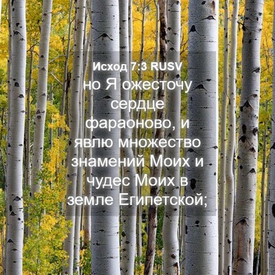 Picture 04 - Исход 7:3 RUSV - но Я ожесточу сердце - Bible Verse Picture