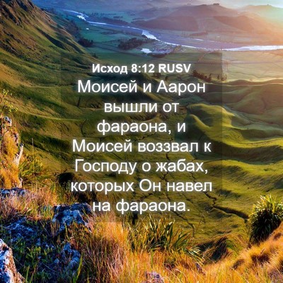 Picture 04 - Исход 8:12 RUSV - Моисей и Аарон вышли от - Bible Verse Picture