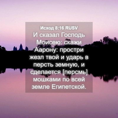 Picture 04 - Исход 8:16 RUSV - И сказал Господь Моисею: - Bible Verse Picture