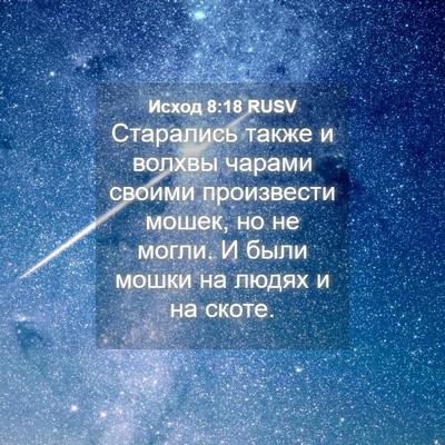 Picture 04 - Исход 8:18 RUSV - Старались также и волхвы - Bible Verse Picture