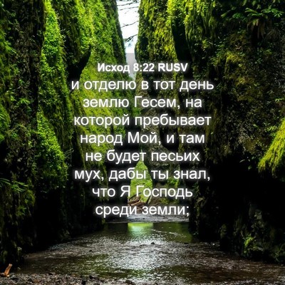 Picture 04 - Исход 8:22 RUSV - и отделю в тот день землю - Bible Verse Picture
