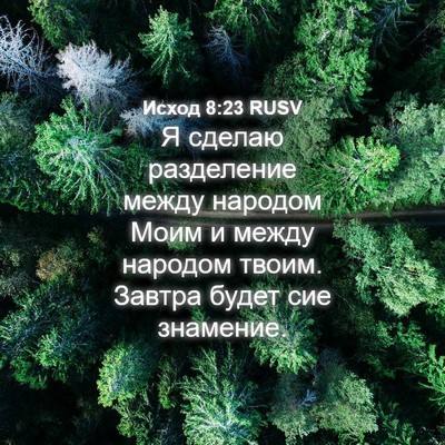 Picture 04 - Исход 8:23 RUSV - Я сделаю разделение между - Bible Verse Picture