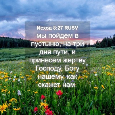 Picture 04 - Исход 8:27 RUSV - мы пойдем в пустыню, на три - Bible Verse Picture
