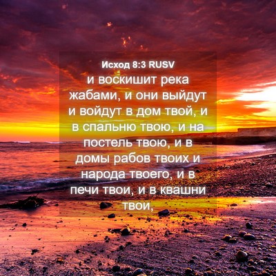 Picture 04 - Исход 8:3 RUSV - и воскишит река жабами, и - Bible Verse Picture