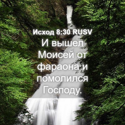 Picture 04 - Исход 8:30 RUSV - И вышел Моисей от фараона и - Bible Verse Picture