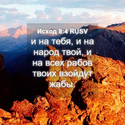 Picture 04 - Исход 8:4 RUSV - и на тебя, и на народ твой, и - Bible Verse Picture