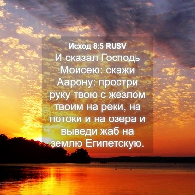 Picture 04 - Исход 8:5 RUSV - И сказал Господь Моисею: - Bible Verse Picture