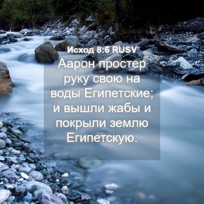 Picture 04 - Исход 8:6 RUSV - Аарон простер руку свою на - Bible Verse Picture