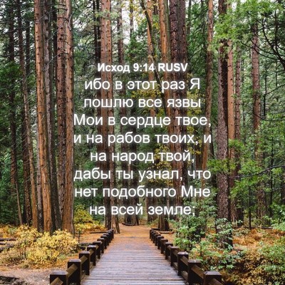 Picture 04 - Исход 9:14 RUSV - ибо в этот раз Я пошлю все - Bible Verse Picture