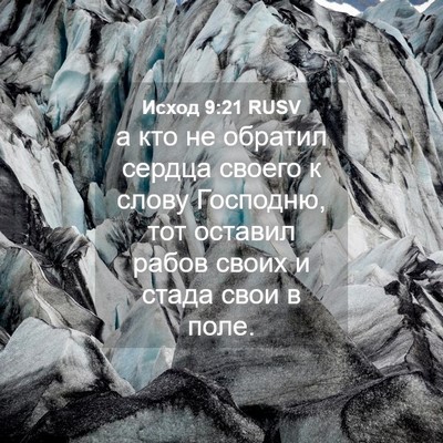 Picture 04 - Исход 9:21 RUSV - а кто не обратил сердца - Bible Verse Picture
