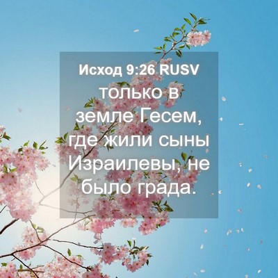 Picture 04 - Исход 9:26 RUSV - только в земле Гесем, где - Bible Verse Picture