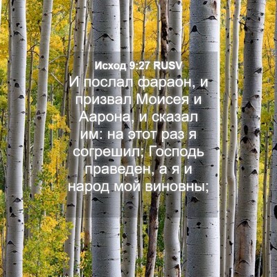 Picture 04 - Исход 9:27 RUSV - И послал фараон, и призвал - Bible Verse Picture