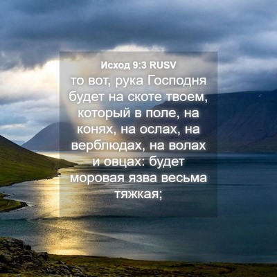 Picture 04 - Исход 9:3 RUSV - то вот, рука Господня будет - Bible Verse Picture
